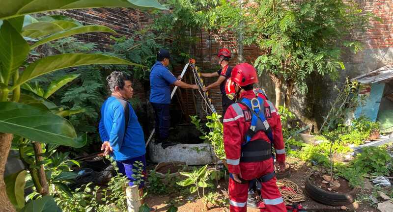 Hilang 5 Hari, Damkar Selamatkan Kucing Tuban di Dasar Sumur Sedalam 10 Meter 2 Damkar Tuban evakuasi kucing.