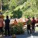 Anomali Cuaca di Mojokerto, 5 Pohon Tumbang Akibat Angin Kencang, 1 Rumah Rusak 8 Pohon tumbang,