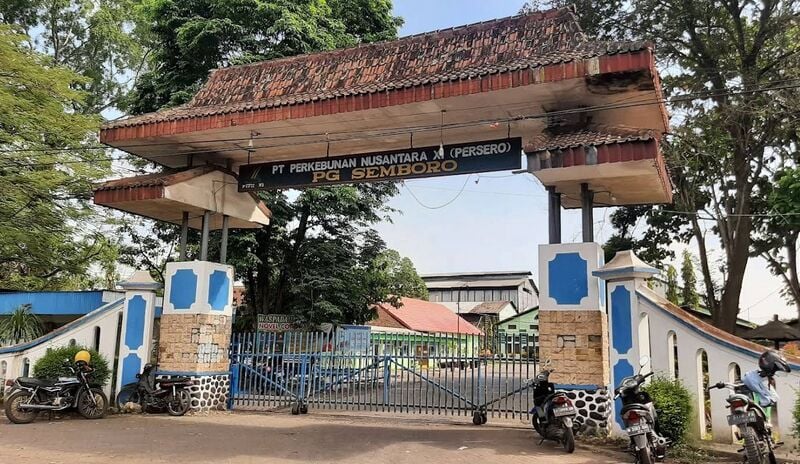 Danantara Borong Gula Jember Senilai Rp141 Miliar, Sempat Tertimbun di PG Gula Semboro 1 Gula Jember.