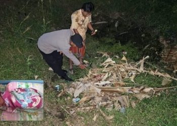 Bayi laki-laki.