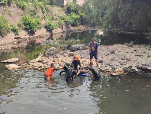 Dugaan Laka Tunggal, Motor di Mojokerto Nyemplung ke Sungai 1 Motor di Mojokerto.