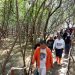 World Clean Up Day: Bupati Situbondo Turun Tangan Atasi Limbah di Mangrove Ketah 8 Bupati Situbondo.