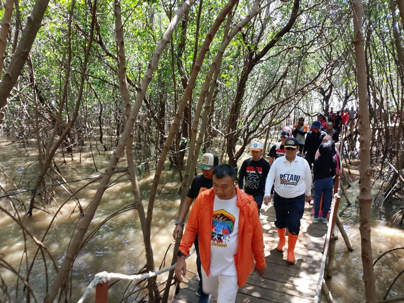 World Clean Up Day: Bupati Situbondo Turun Tangan Atasi Limbah di Mangrove Ketah 1 Bupati Situbondo.