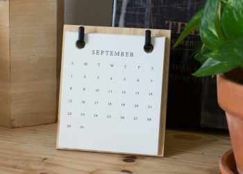 13 September