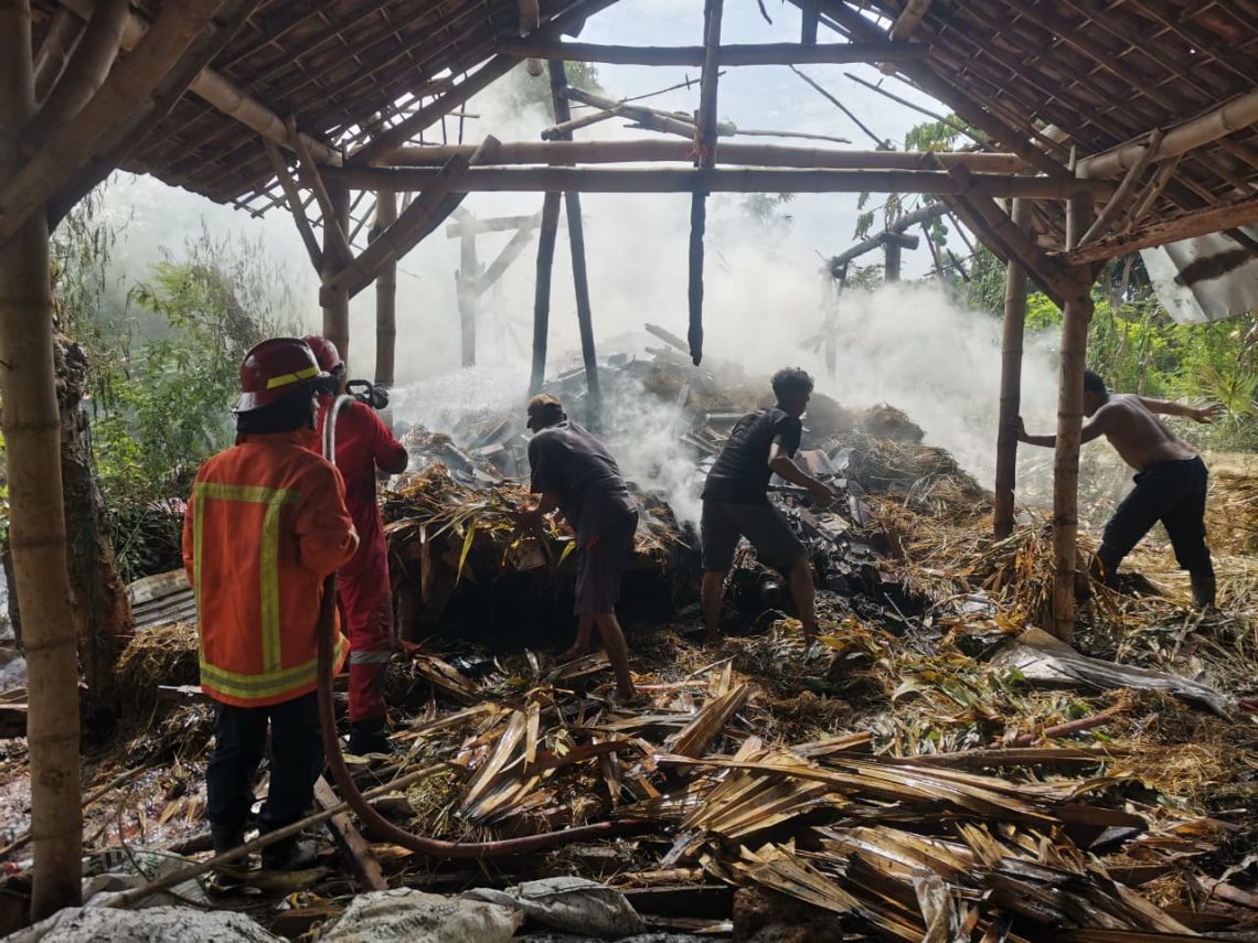 kebakaran kandang sapi di Tuban