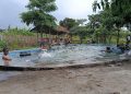 Kolam Renang Lima Ribuan