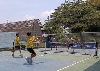 Pickleball