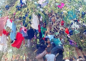 Menilik Tradisi Keresan di Mojokerto Saat Bulan Maulid Nabi Muhammad SAW Tiba 4 Tradisi Keresan