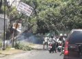 Pohon di Mojokerto.