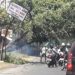 Pohon di Mojokerto.