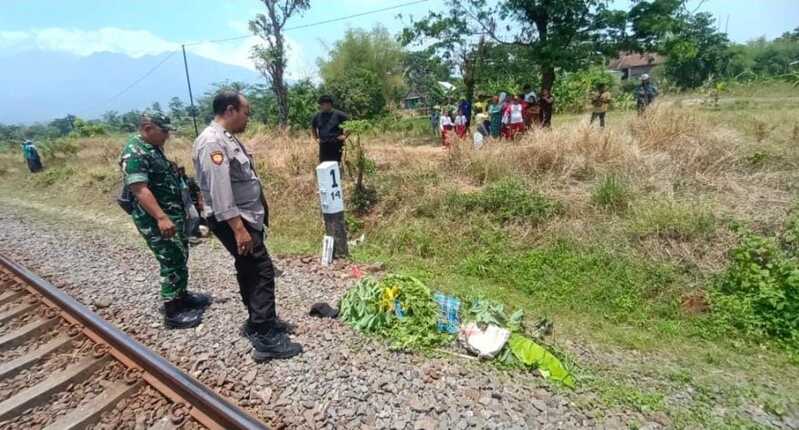 Istirahat di Bantalan Rel, Pemulung Tewas Tertabrak KA Penataran di Sukorejo Pasuruan 1 KA Penataran.