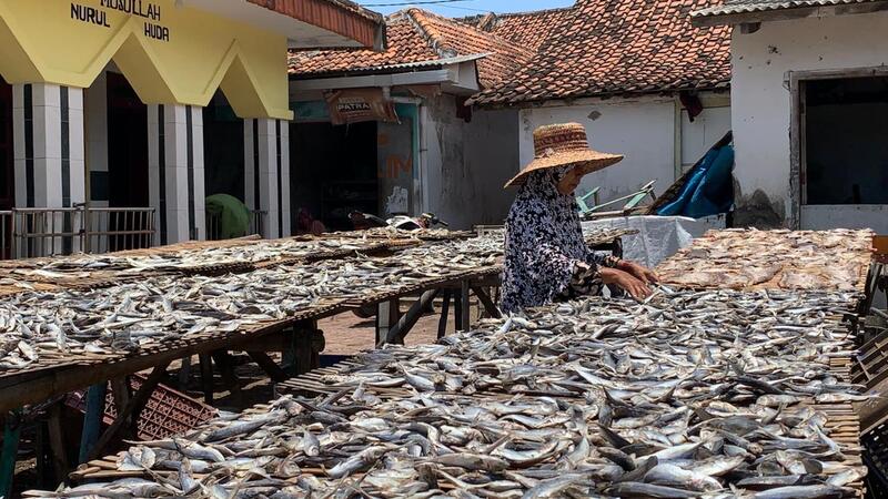 Puluhan Tahun Menjemur Harapan: Kisah Satira, Perempuan Tangguh di Balik Gurihnya Ikan Asin Puger Jember 2 Pengusaha ikan asin Puger.