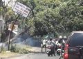 Pohon tumbang.