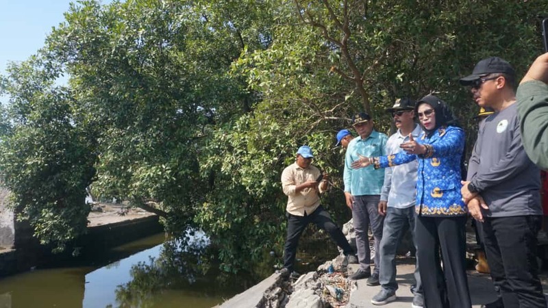 Jembatan Tambak Cemandi di Sidoarjo.