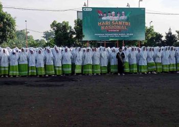 HSN 2025.