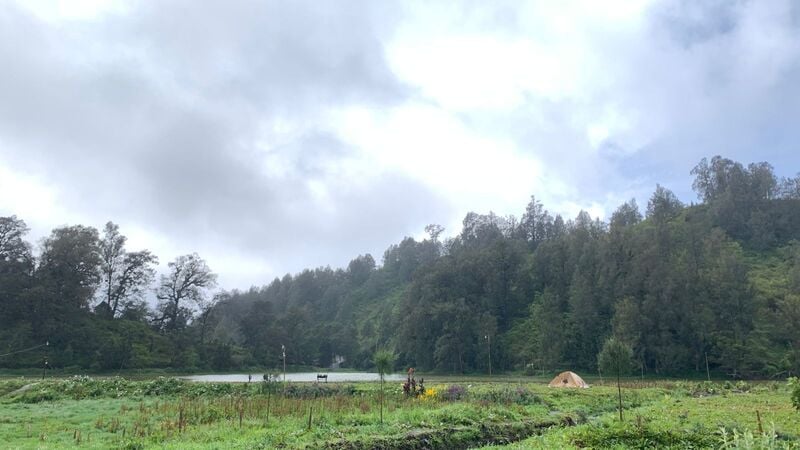 Eksplor Surga Tersembunyi, Wisata Alam di Lumajang Ini Jadi Hidden Gem Jatim 6 WhatsApp Image 2025 10 23 at 10.58.32 1