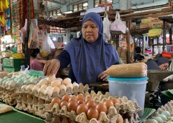 Harga telur di Jember.