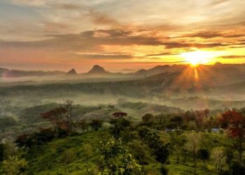 Wisata di Bojonegoro.
