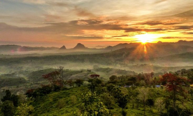 10 Destinasi Wisata di Bojonegoro, Ada Api Abadi hingga Negeri di Atas Angin yang Indah! 1 Wisata di Bojonegoro.