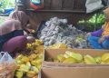 Blimbing Madu di Palang