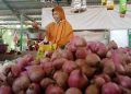 Bawang Merah di Mojokerto