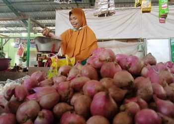 Bawang Merah di Mojokerto