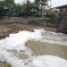 Buih Putih Misterius Penuhi Sungai di Mojokerto 8 Buih putih misterius