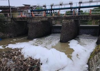 Buih Putih Misterius