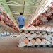 IKM dan Penjual Gelisah Harga Telur di Tuban Tembus Rp30 Ribu per Kilogram