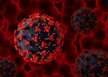 Jember Peringkat 3 Kasus HIV di Jatim