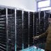 Kuota 220 Dapur Penuh, Jember Diproyeksikan Jadi Kabupaten Realisasi MBG Tercepat 8 Kuota 220 Dapur Penuh, Jember Diproyeksikan Jadi Kabupaten Realisasi MBG Tercepat