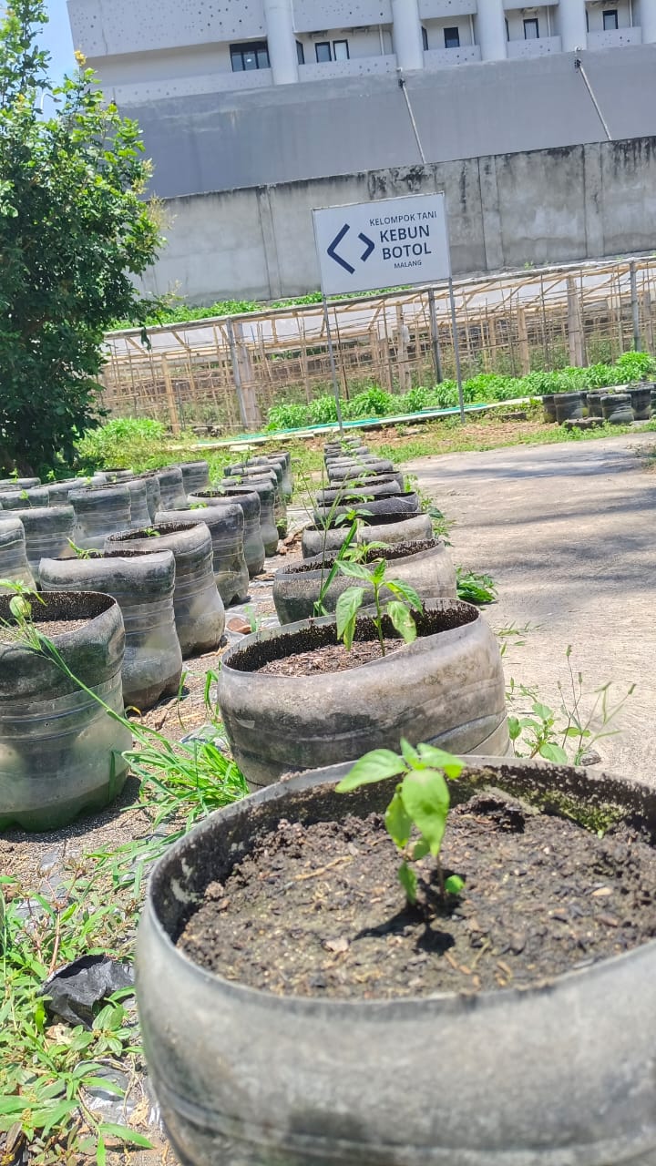 Kebun Botol Malang