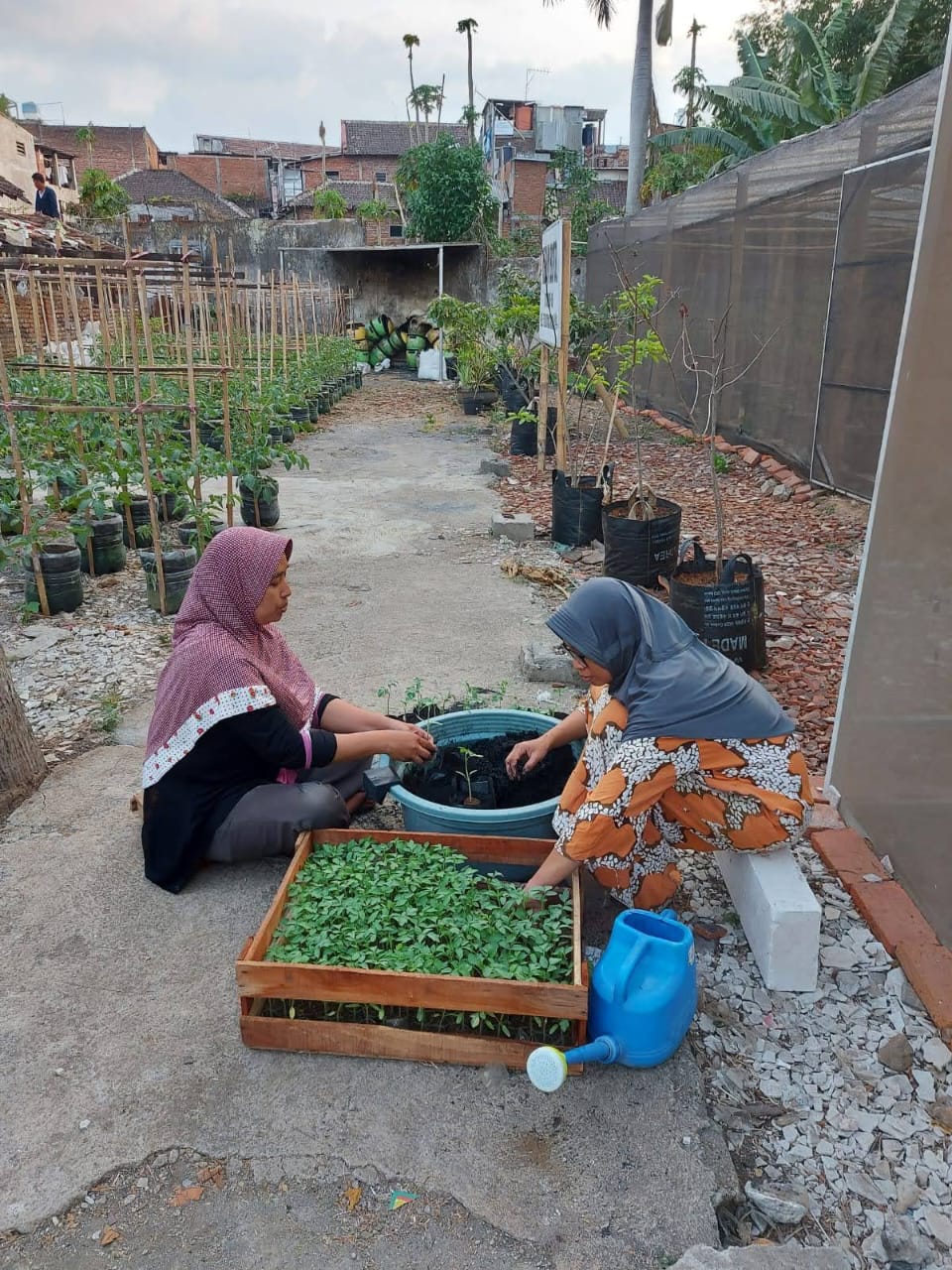 Kebun Botol Malang