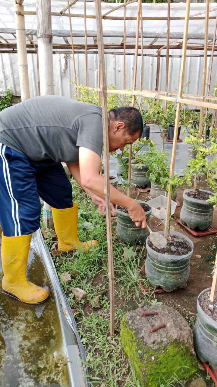 Kebun Botol Malang