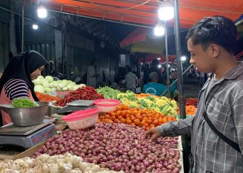 Statistik Hortikultura Kabupaten Mojokerto: Bawang Merah Masih Jadi Andalan