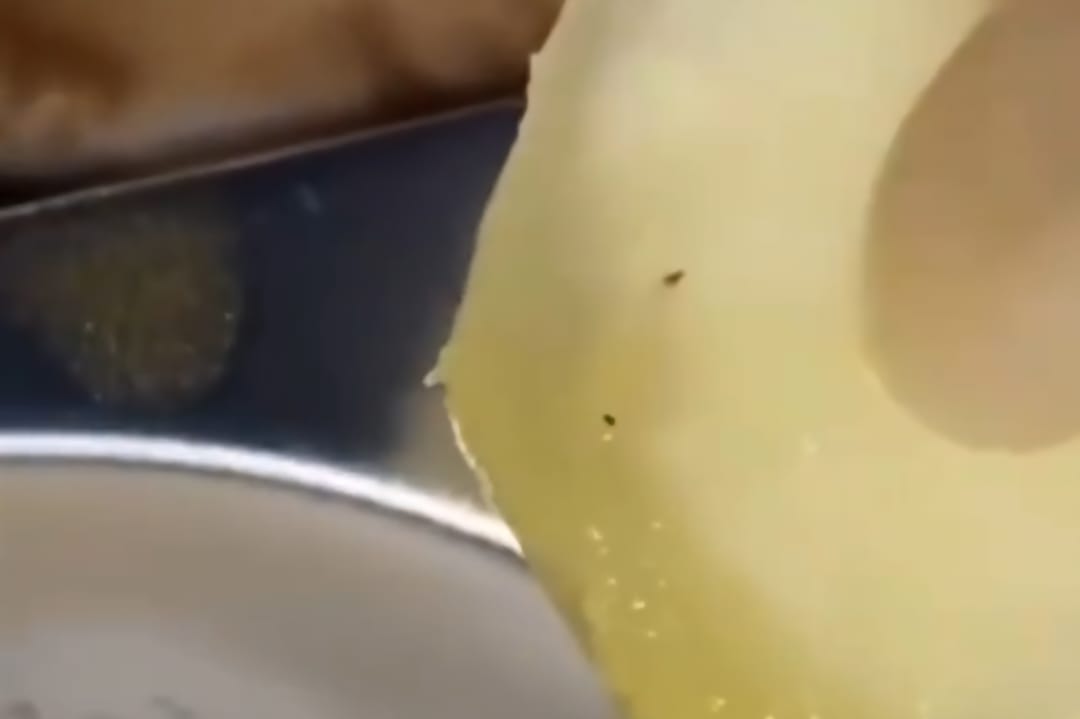 Lagi, Viral Diduga Ulat Ditemukan di Buah Program MBG di SMK Tuban 1 MBG