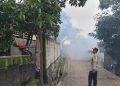 Chikungunya