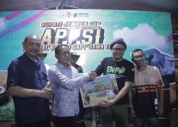 Jember Cup Season 2, Sapi Sapu Jagat asal Mojokerto Pecahkan Rekor Nasional Berbobot 1,4 Ton 8 Sapi Sapu Jagat.