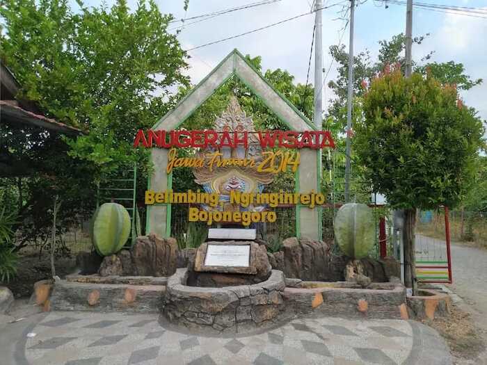 Modal Cuma 3 Ribu! Nikmati Wisata Edukasi Kebun Belimbing Ngringinrejo Bojonegoro dengan Ribuan Pohon 1 Kebun Belimbing Ngringinrejo.