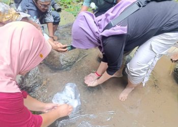 Desa Suci.