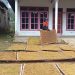 Turun 10 Persen, Hasil Panen Tembakau di Kabupaten Malang Merosot Akibat Cuaca Buruk 8 Tembakau di Kabupaten Malang.