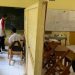Dinilai Layak, Klarifikasi Kadisdik Kabupaten Malang soal Pembelajaran di SDN 6 Sumberpetung Disekat Triplek 8 SDN 6 Sumberpetung.
