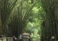 Wisata Sidoarjo.