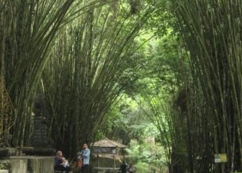 Terlengkap! 10 Wisata Sidoarjo Bikin Gamon Wajib Dikunjungi Cocok untuk Liburan Akhir Pekan 3 Wisata Sidoarjo.