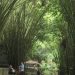 Wisata Sidoarjo.