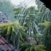 BMKG: Wilayah Jawa Timur Potensi Masuk Level Siaga dengan Curah Hujan Lebat hingga Sangat Lebat 8 BMKG