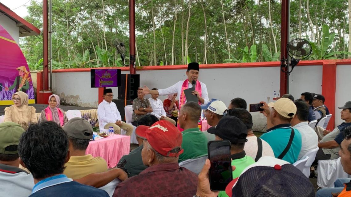 Bupati Fawait