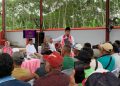 Bupati Fawait