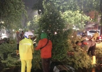 Hujan dan Angin di Surabaya