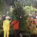 Hujan dan Angin di Surabaya Tumbangkan 23 Pohon 8 Hujan dan Angin di Surabaya